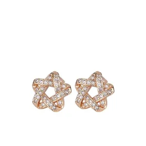 Zircon Hollow Star Silver Studs Earrings for Women